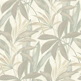 880032WR buena vista leaf peel and stick wallpaper from Tommy Bahama Home