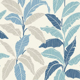 880080WR Leafy tropical botanical peel and stick wallpaper from Tommy Bahama Home