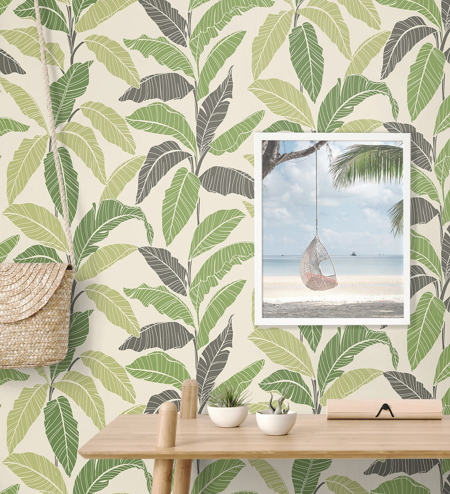 880081WR Leafy tropical botanical peel and stick wallpaper decor from Tommy Bahama Home