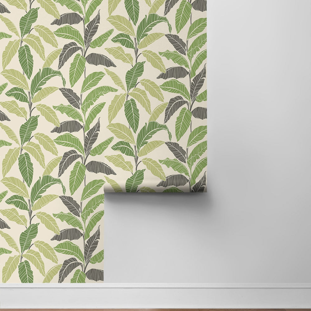 
                  
                    880081WR Leafy tropical botanical peel and stick wallpaper roll from Tommy Bahama Home
                  
                