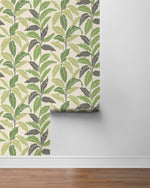 880081WR Leafy tropical botanical peel and stick wallpaper roll from Tommy Bahama Home