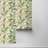 880081WR Leafy tropical botanical peel and stick wallpaper roll from Tommy Bahama Home