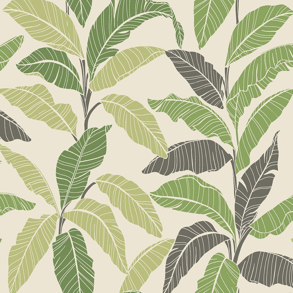 
                  
                    880081WR Leafy tropical botanical peel and stick wallpaper from Tommy Bahama Home
                  
                
