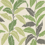 880081WR Leafy tropical botanical peel and stick wallpaper from Tommy Bahama Home