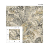 880100WR Nassau palm leaf peel and stick wallpaper scale from Tommy Bahama Home