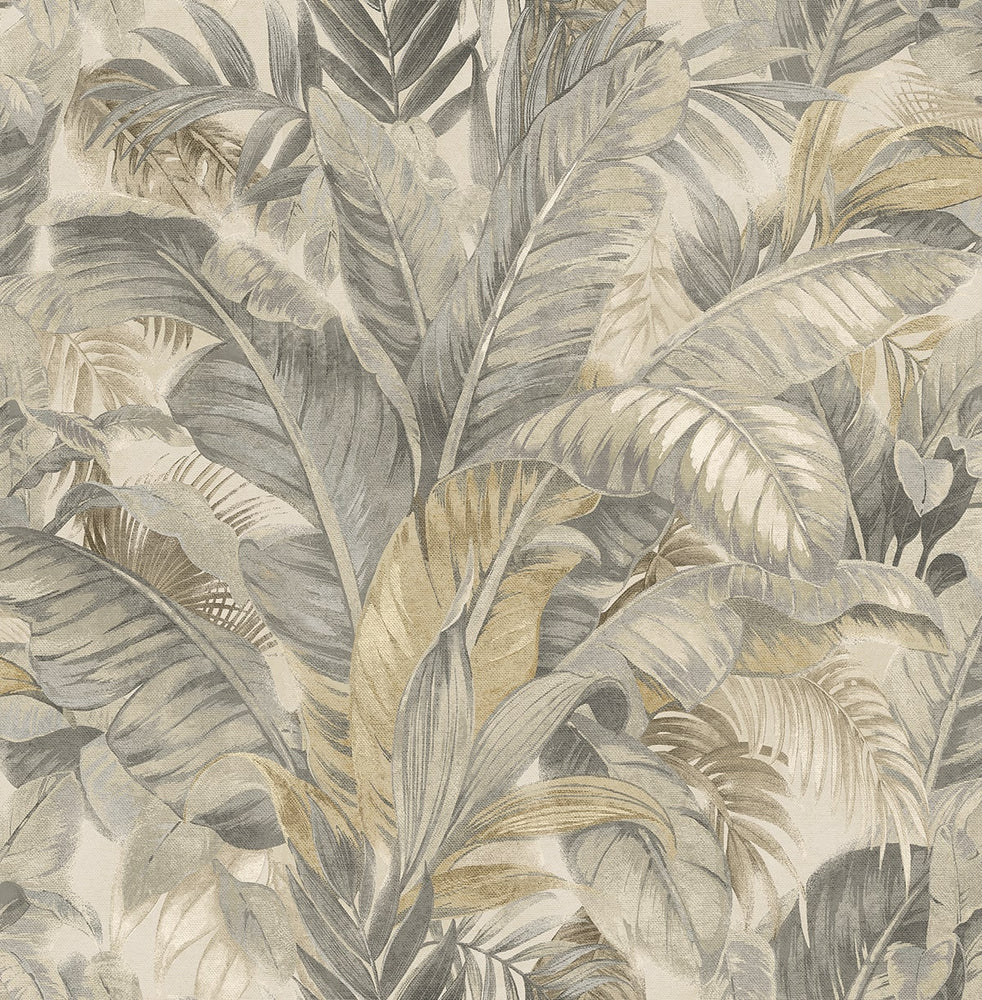 880100WR Nassau palm leaf peel and stick wallpaper from Tommy Bahama Home