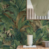 880101WR Nassau palm leaf peel and stick wallpaper decor from Tommy Bahama Home