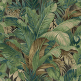 880101WR Nassau palm leaf peel and stick wallpaper from Tommy Bahama Home