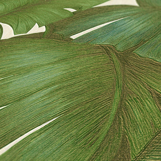 962405X Paragon Palm unpasted vinyl wallpaper texture from Versace