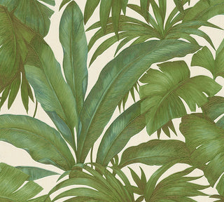 962405X Paragon Palm unpasted vinyl wallpaper from Versace