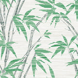 AF40204 bamboo botanical wallpaper from Seabrook Designs