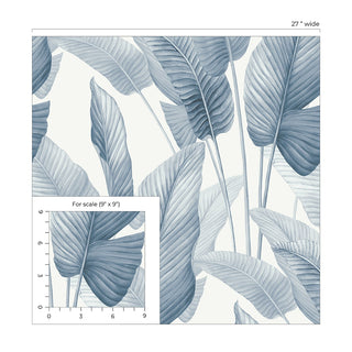 AG60002 Bali Tropical Mantra Palm Leaf Tropical Unpasted Wallpaper scale at Say Decor