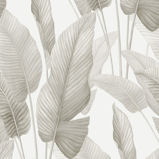 AG60008 Bali Tropical Mantra Palm Leaf Tropical Unpasted Wallpaper at Say Decor