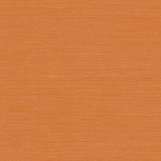 BV30403 Pumpkin Coastal Faux Hemp Embossed Vinyl Unpasted Wallpaper from Say Decor