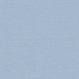 BV30422 faux grasscloth vinyl wallpaper from the Texture Gallery collection by Seabrook Designs