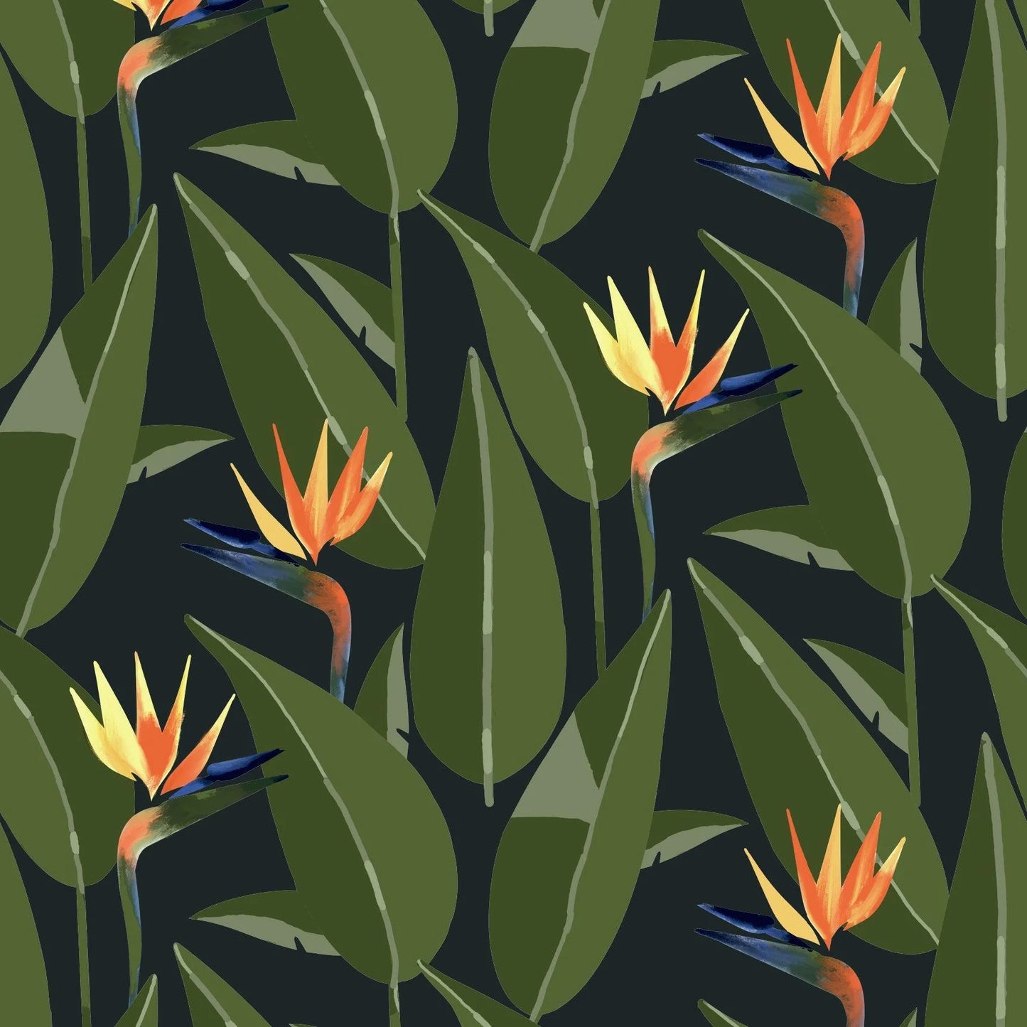 Mitchell Black Birds of Paradise Botanical Wallpaper in shade Black at Say Decor