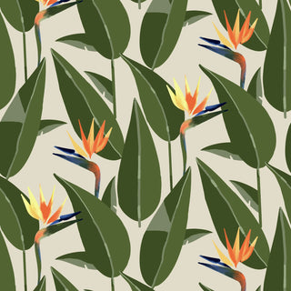 Mitchell Black Birds of Paradise Botanical Wallpaper in shade Sand at Say Decor
