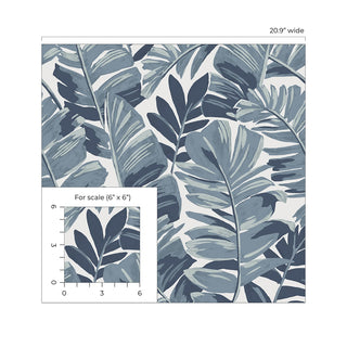 CC20202 California Coastal Aureliana Blue Tropical Leaf Unpasted Wallpaper Scale at Say Decor