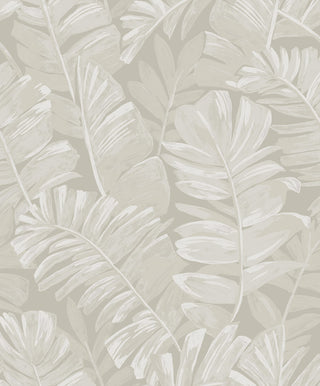 CC20205 California Coastal Aureliana Neutral Tropical Leaf Unpasted Wallpaper at Say Decor