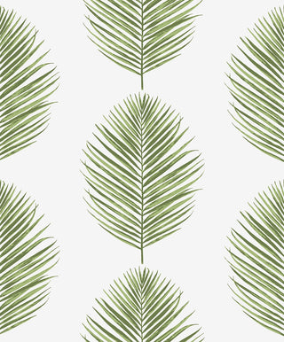 CC20804 California Coastal Saltair Green Palm Leaf Unpasted Wallpaper from the California Coastal collection by Seabrook Designs