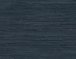 CP90202 faux grasscloth textured vinyl wallpaper from the A Lot More Textures collection by Seabrook Designs