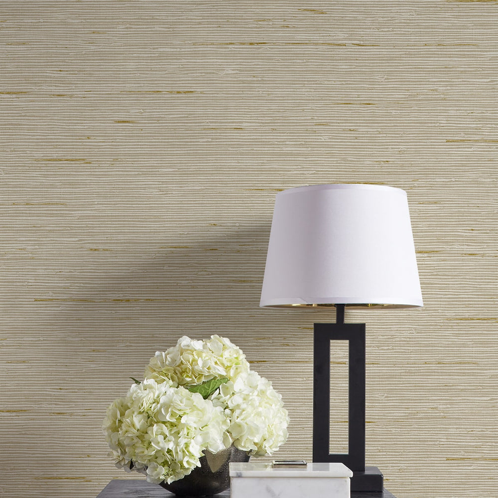 
                  
                    CP90205 faux grasscloth textured vinyl wallpaper decor from the A Lot More Textures collection by Seabrook Designs
                  
                