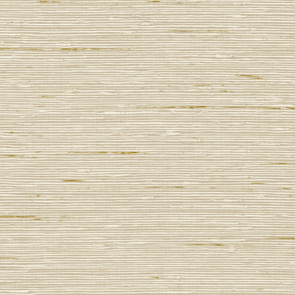 
                  
                    CP90205 faux grasscloth textured vinyl wallpaper from the A Lot More Textures collection by Seabrook Designs
                  
                