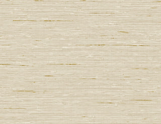 CP90205 faux grasscloth textured vinyl wallpaper from the A Lot More Textures collection by Seabrook Designs