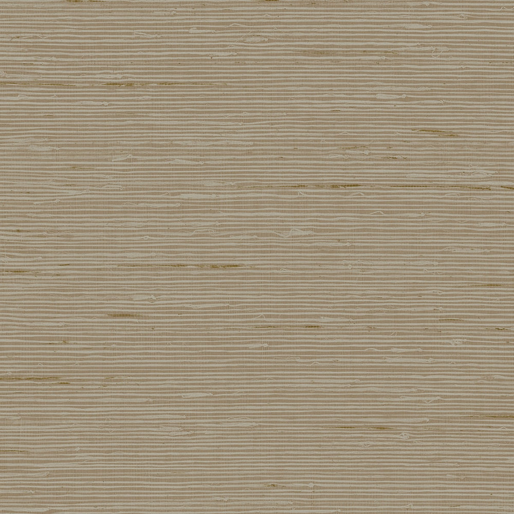 
                  
                    CP90207 faux grasscloth textured vinyl wallpaper from the A Lot More Textures collection by Seabrook Designs
                  
                
