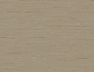 CP90207 faux grasscloth textured vinyl wallpaper from the A Lot More Textures collection by Seabrook Designs
