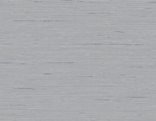 CP90208 faux grasscloth textured vinyl wallpaper from the A Lot More Textures collection by Seabrook Designs