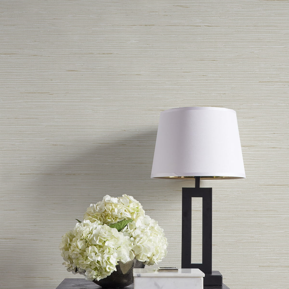 
                  
                    CP90215 faux grasscloth textured vinyl wallpaper decor from the A Lot More Textures collection by Seabrook Designs
                  
                