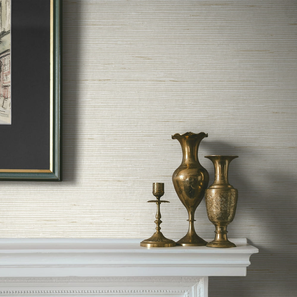 
                  
                    CP90215 faux grasscloth textured vinyl wallpaper accent from the A Lot More Textures collection by Seabrook Designs
                  
                