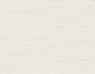 CP90215 faux grasscloth textured vinyl wallpaper from the A Lot More Textures collection by Seabrook Designs