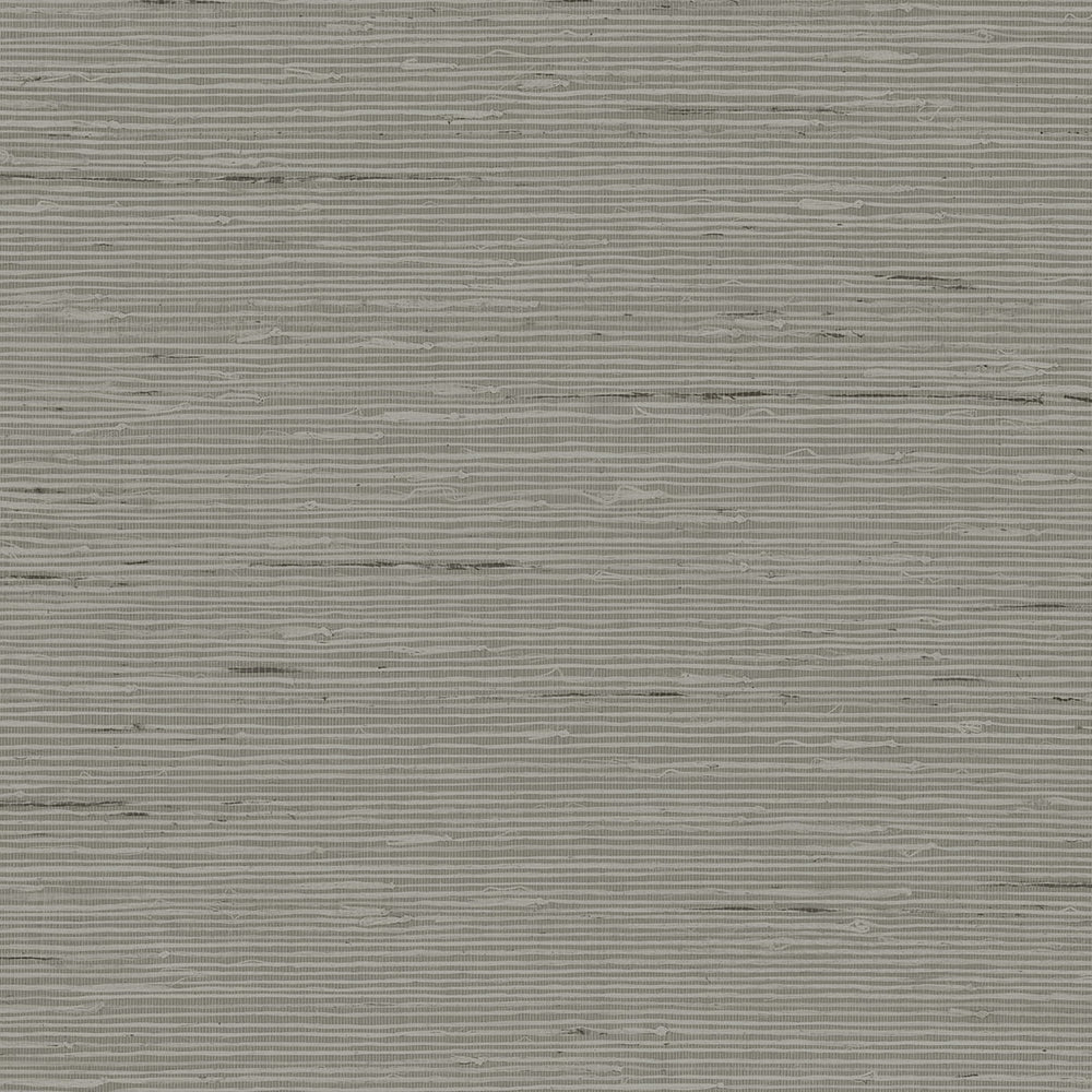 
                  
                    CP90217 faux grasscloth textured vinyl wallpaper from the A Lot More Textures collection by Seabrook Designs
                  
                