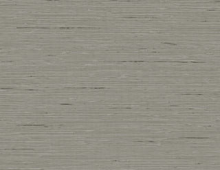 CP90217 faux grasscloth textured vinyl wallpaper from the A Lot More Textures collection by Seabrook Designs