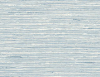 CP90222 faux grasscloth textured vinyl wallpaper from the A Lot More Textures collection by Seabrook Designs