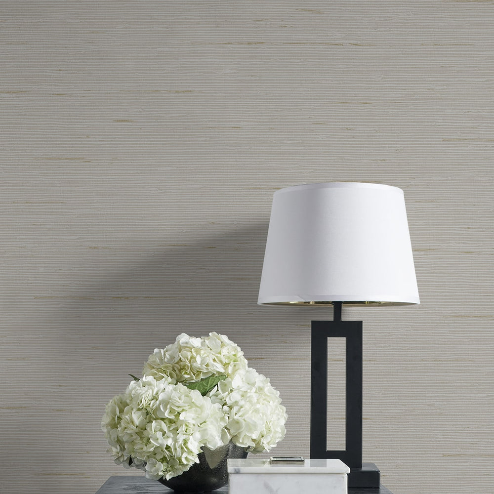
                  
                    CP90225 faux grasscloth textured vinyl wallpaper decor from the A Lot More Textures collection by Seabrook Designs
                  
                