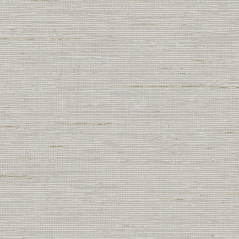 
                  
                    CP90225 faux grasscloth textured vinyl wallpaper from the A Lot More Textures collection by Seabrook Designs
                  
                
