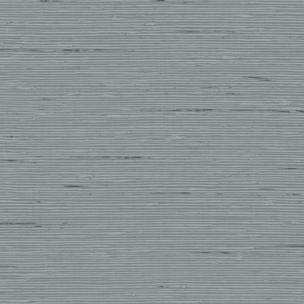 
                  
                    CP90248 faux grasscloth textured vinyl wallpaper from the A Lot More Textures collection by Seabrook Designs
                  
                