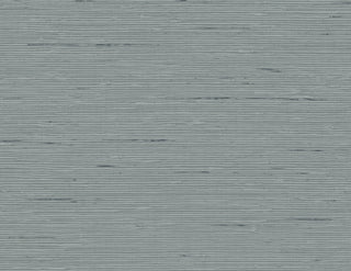 CP90248 faux grasscloth textured vinyl wallpaper from the A Lot More Textures collection by Seabrook Designs