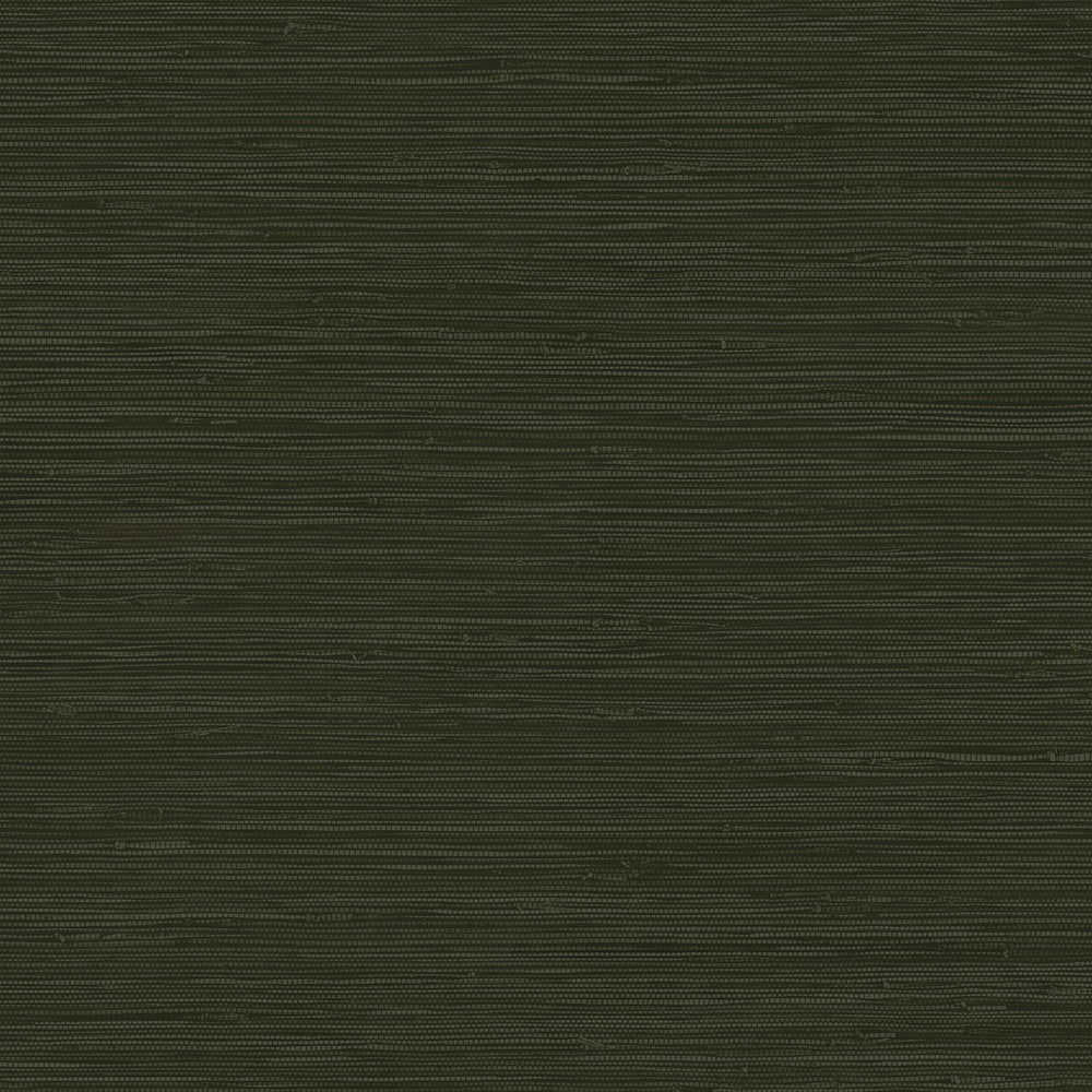 CP91200 faux grasscloth textured vinyl wallpaper from the A Lot More Textures collection by Seabrook Designs