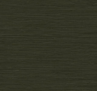 CP91200 faux grasscloth textured vinyl wallpaper from the A Lot More Textures collection by Seabrook Designs