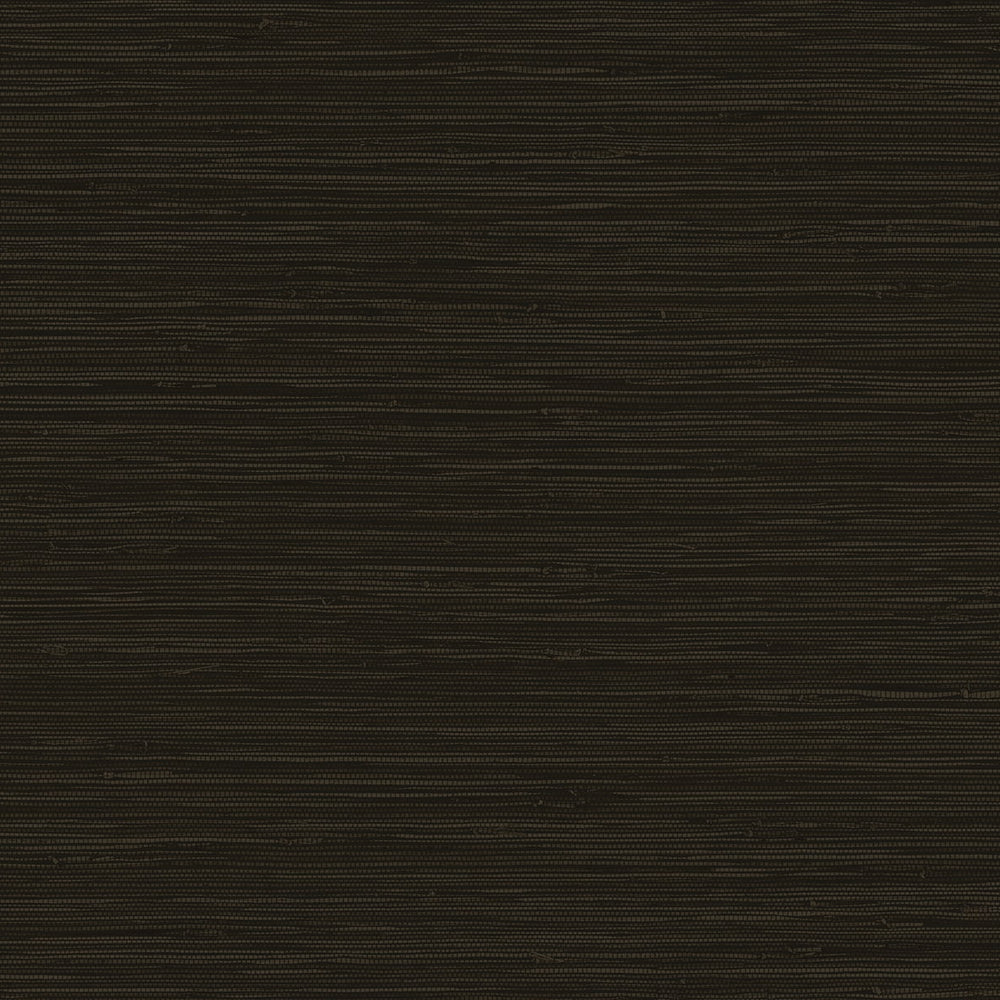 
                  
                    CP91205 faux grasscloth textured vinyl wallpaper from the A Lot More Textures collection by Seabrook Designs
                  
                