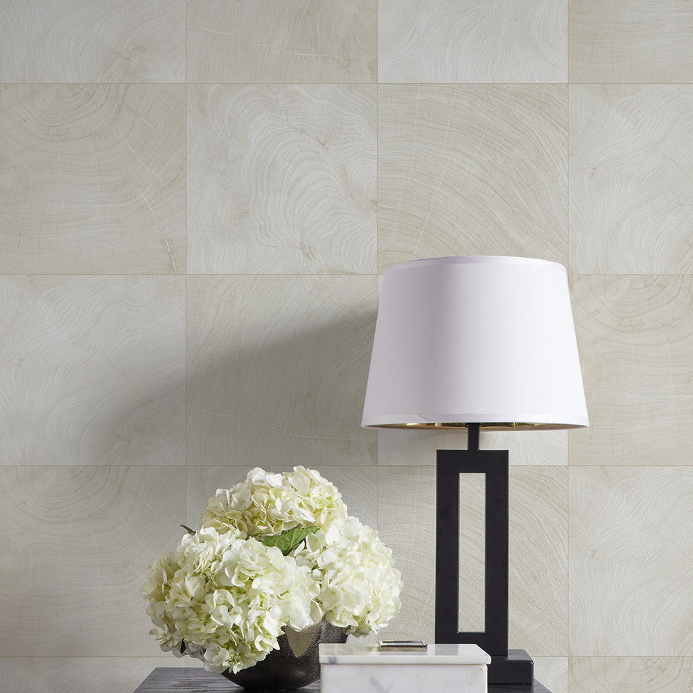 
                  
                    CP91900 faux wood embossed vinyl textured wallpaper decor from the A Lot More Textures collection by Seabrook Designs
                  
                