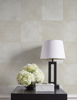 CP91900 faux wood embossed vinyl textured wallpaper decor from the A Lot More Textures collection by Seabrook Designs