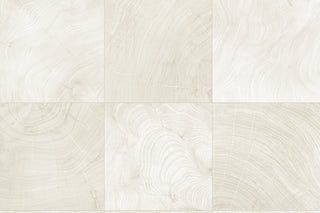 CP91900 faux wood embossed vinyl textured wallpaper from the A Lot More Textures collection by Seabrook Designs