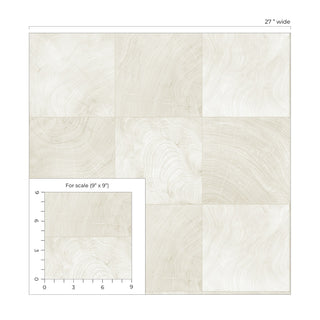 CP91900 faux wood embossed vinyl textured wallpaper scale from the A Lot More Textures collection by Seabrook Designs