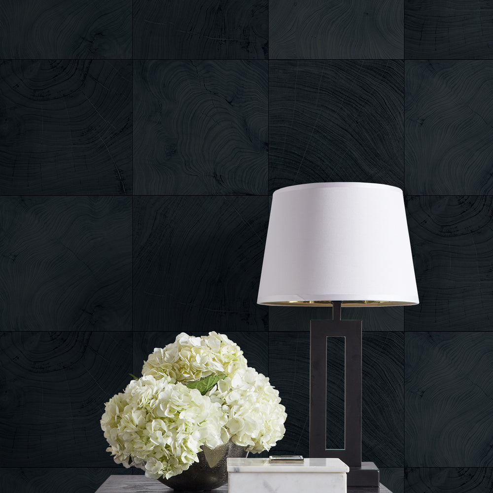 
                  
                    CP91902 faux wood embossed vinyl textured wallpaper decor from the A Lot More Textures collection by Seabrook Designs
                  
                