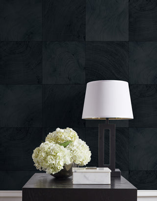 CP91902 faux wood embossed vinyl textured wallpaper decor from the A Lot More Textures collection by Seabrook Designs